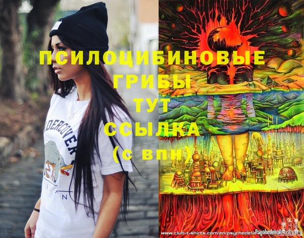 spice Алексеевка